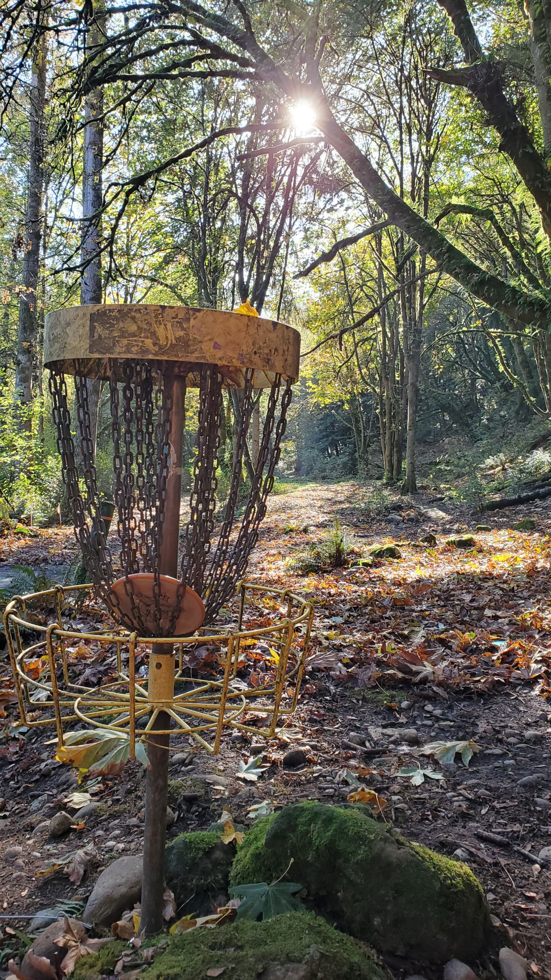 Looking back on hole 8.