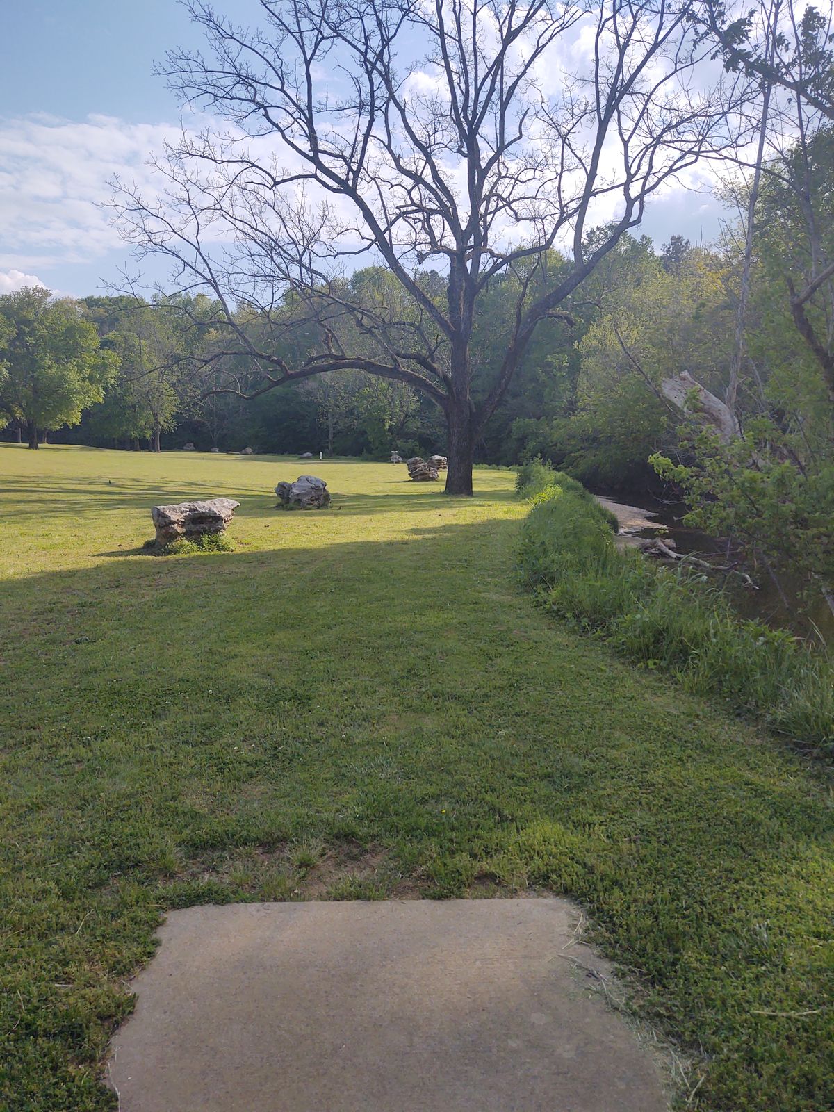 Hole 3 Beside the Creek with the Guardian Walnut Tree 
