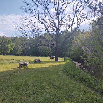 Hole 3 Beside the Creek with the Guardian Walnut Tree 