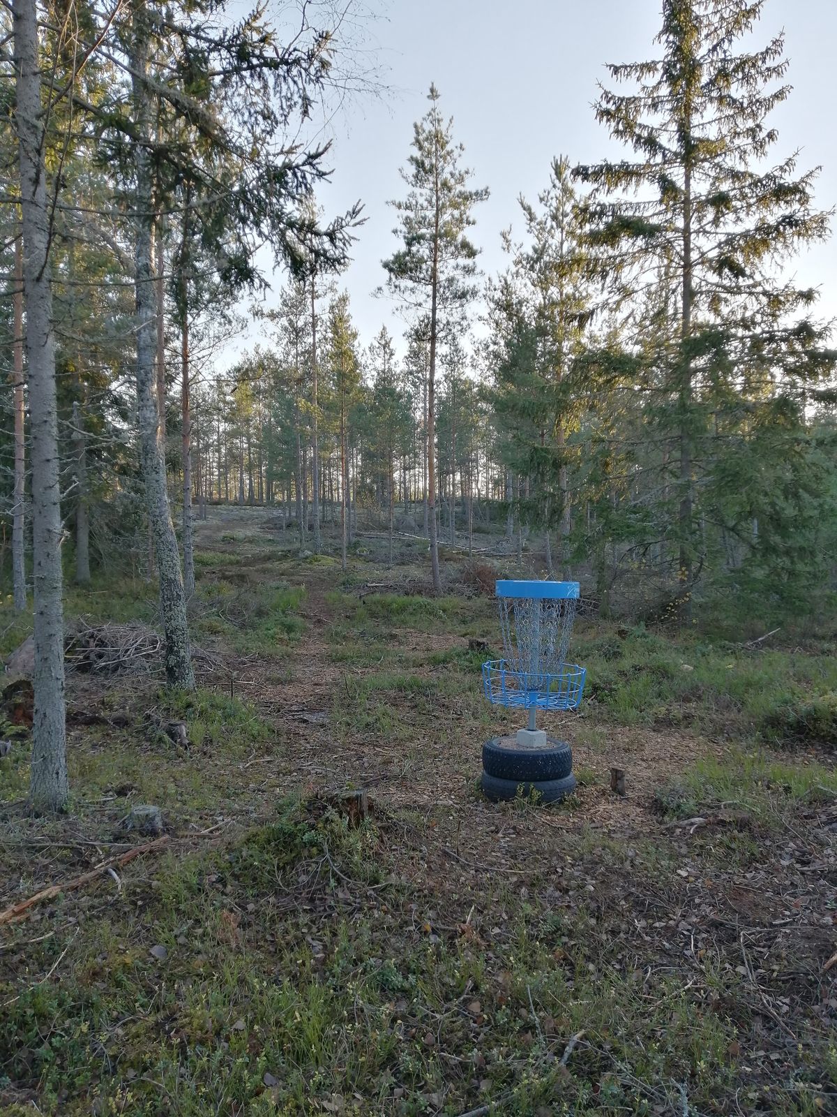 14. Väylä
