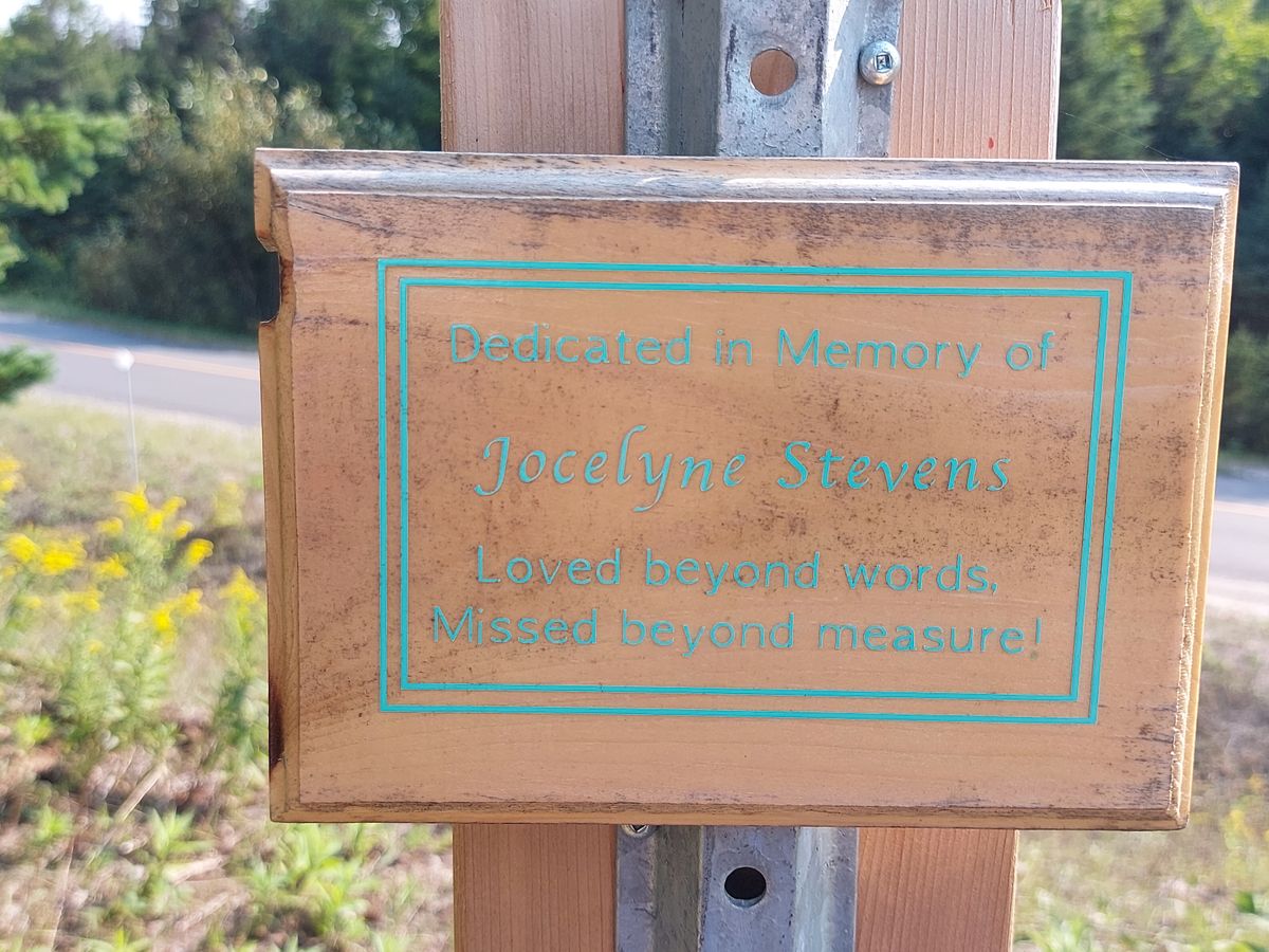 Sign 🌳🌲🌲🌲