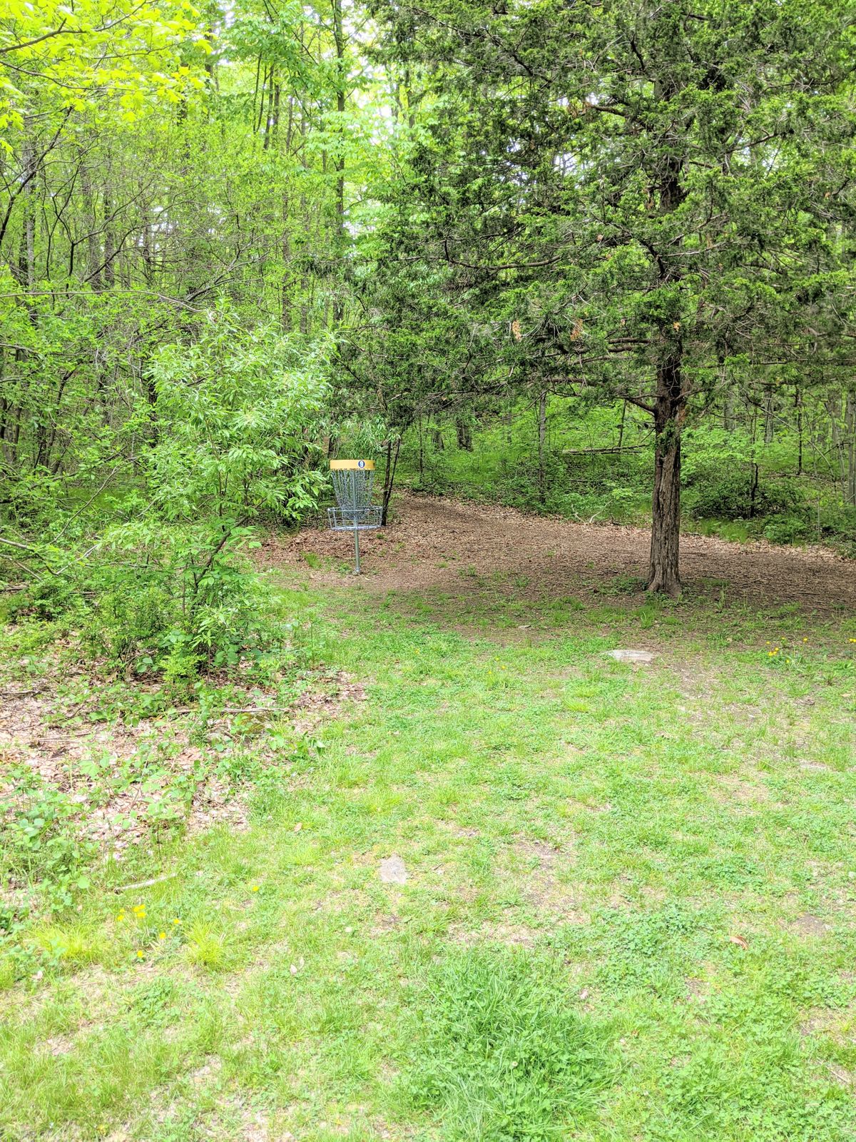 Ace runs on hole 9 are very protected.