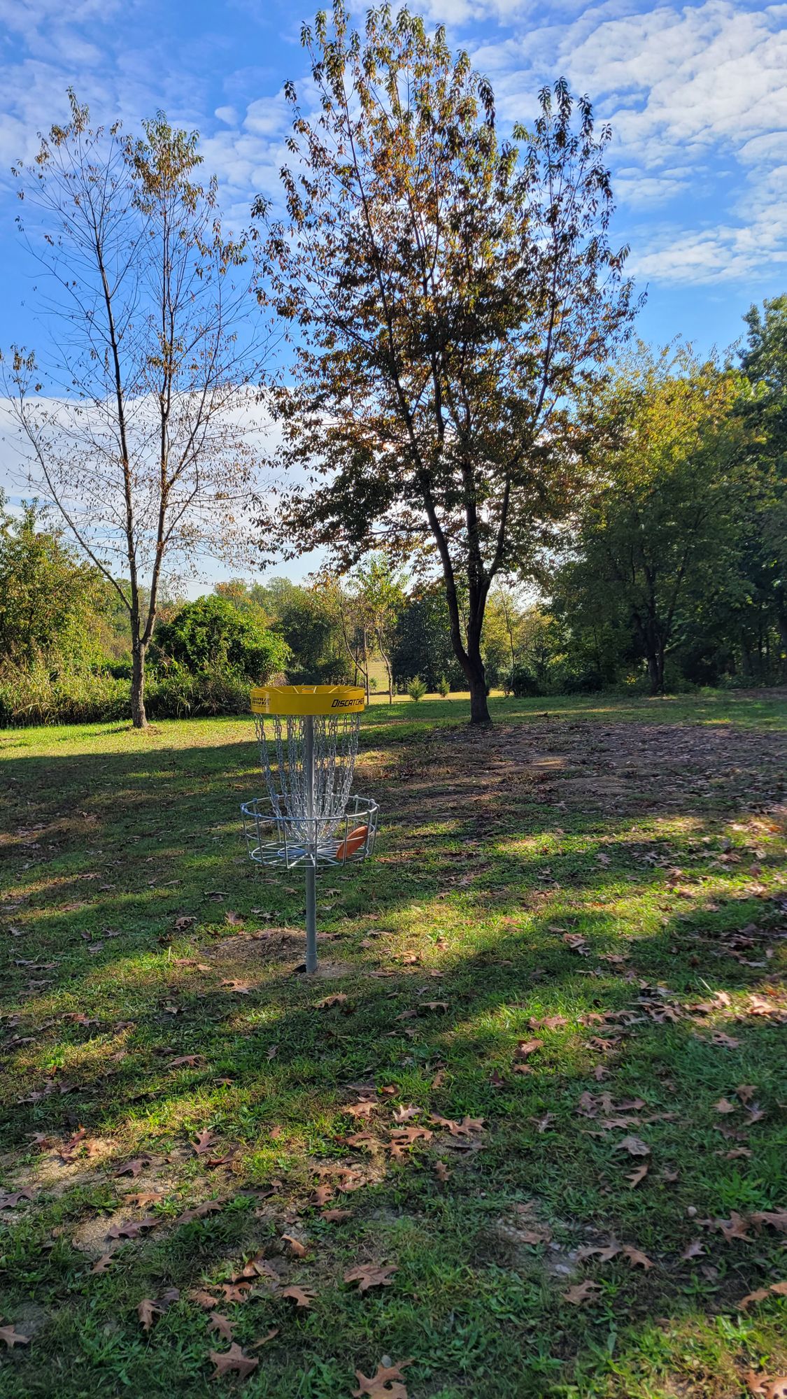 Hole 2 Basket