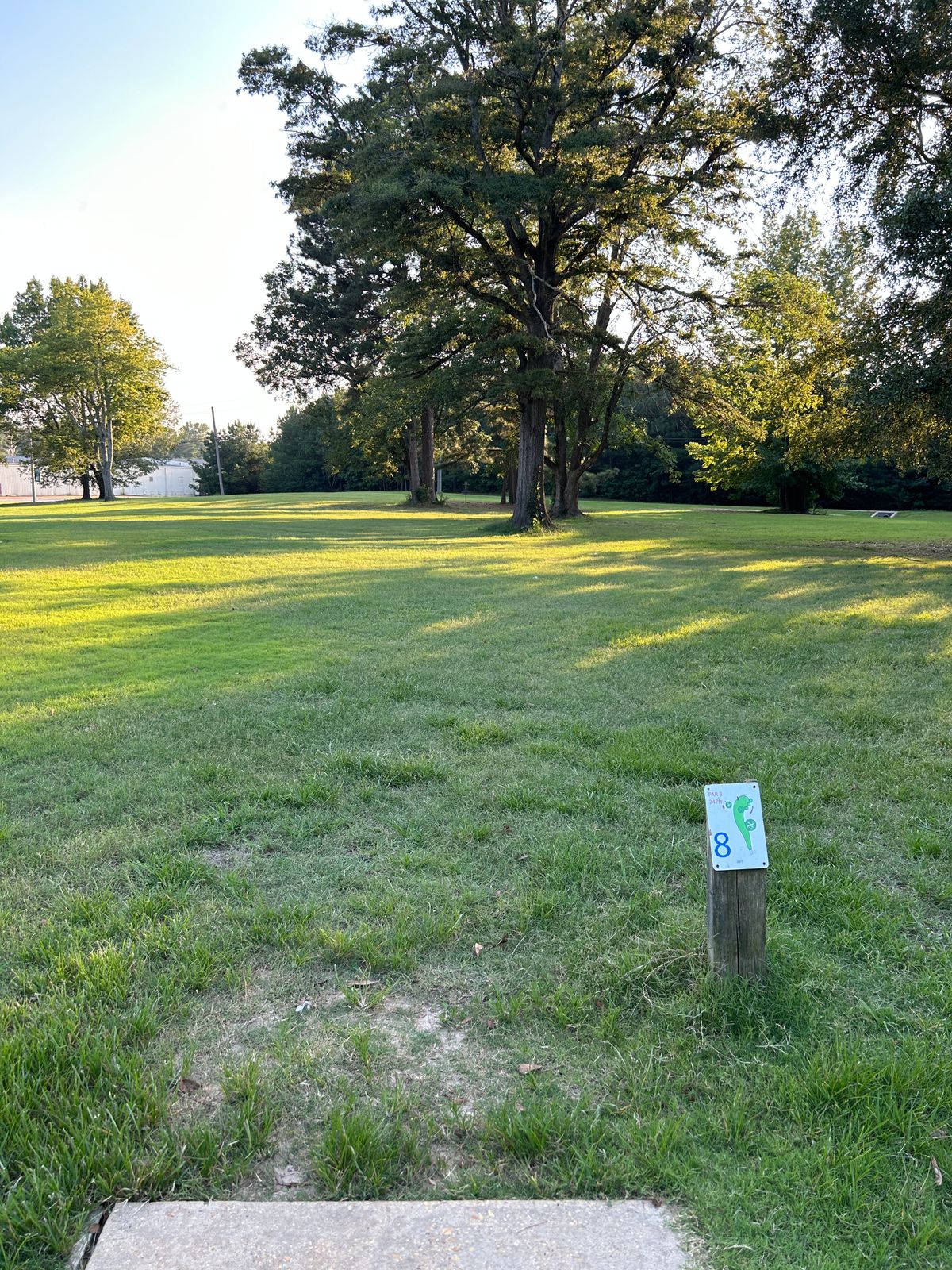 Hole 8 straight ahead, tons of lines just pick one!