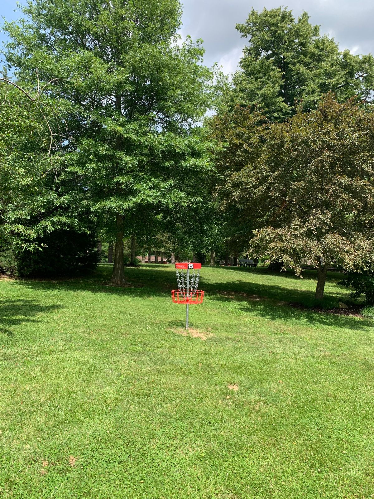 Hole 15 basket