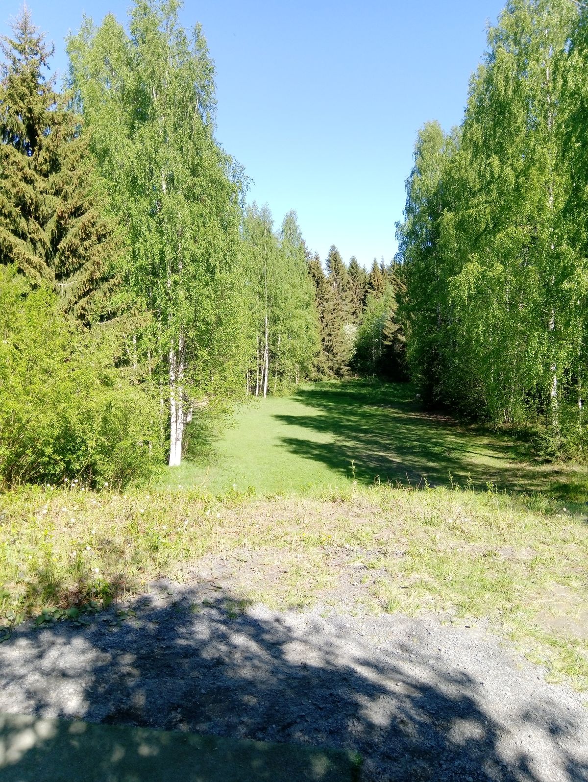 Väylä #11 (30.5.2021).