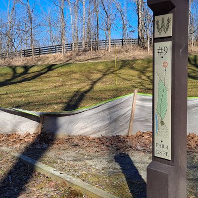 Tee pad ends short. Across an open field, but basket is through a tight gap in woods on other side.