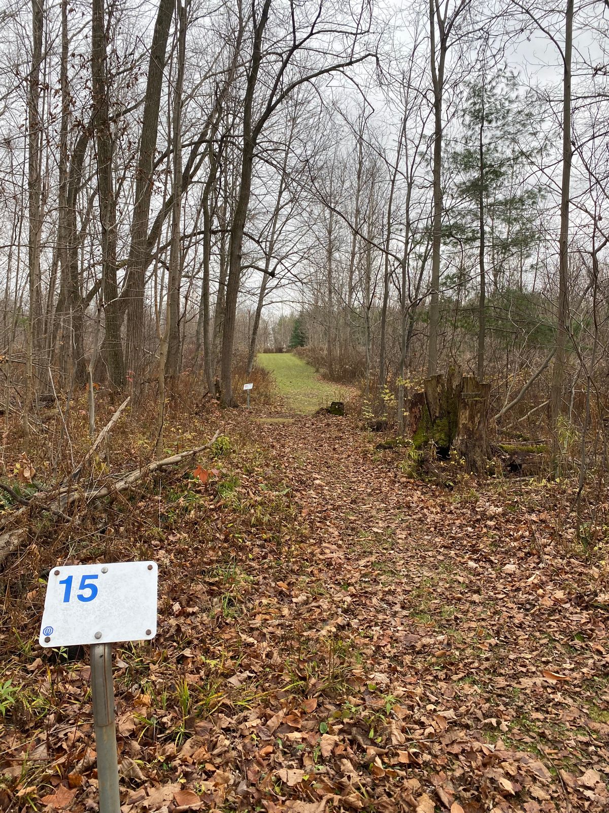 Hole 15 Blue