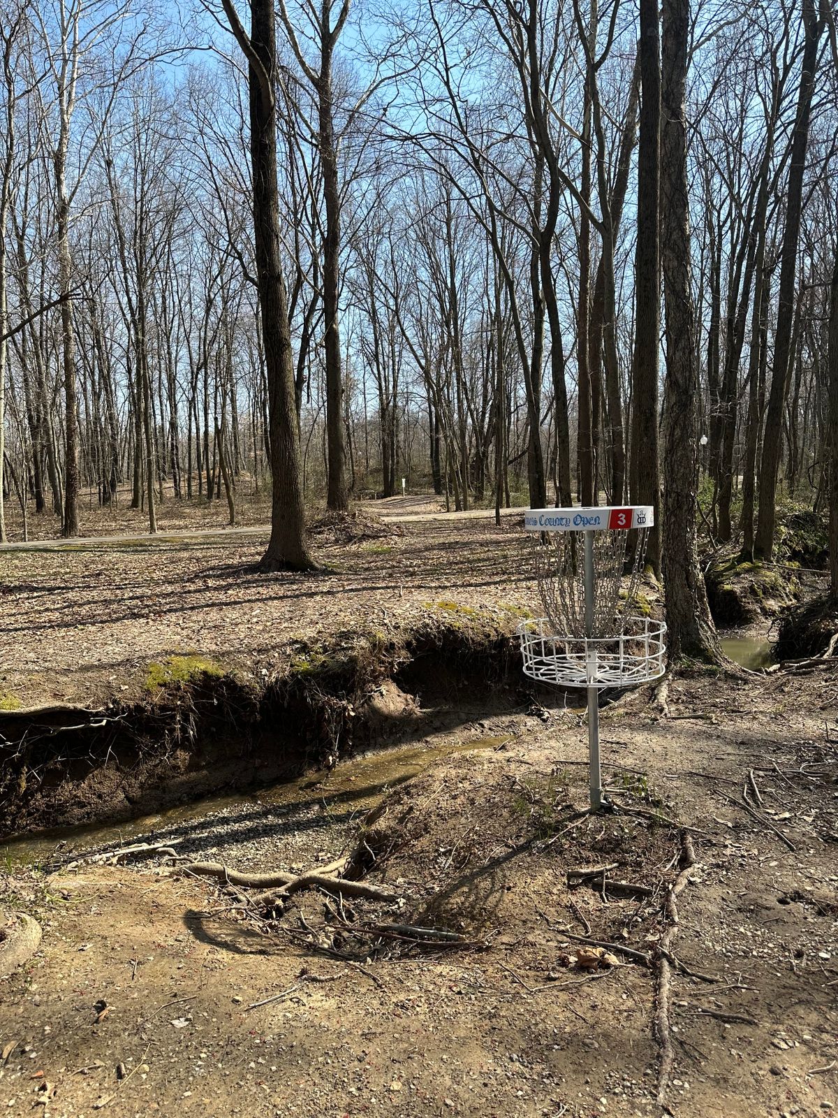 Hole 3 up the fairway.
