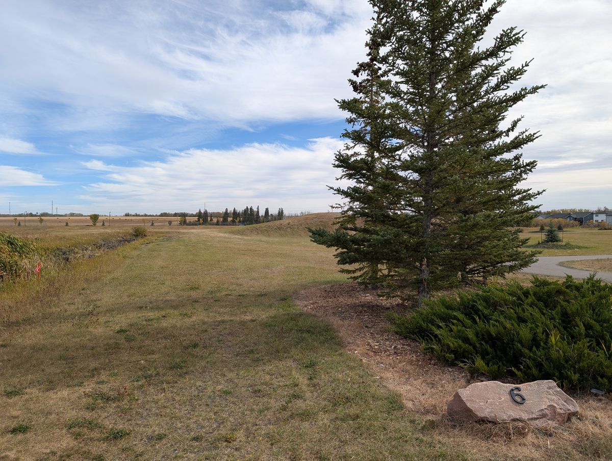 Hole 6. Basket is on the hillside.