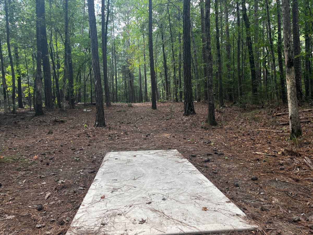 Hole 2 tee box