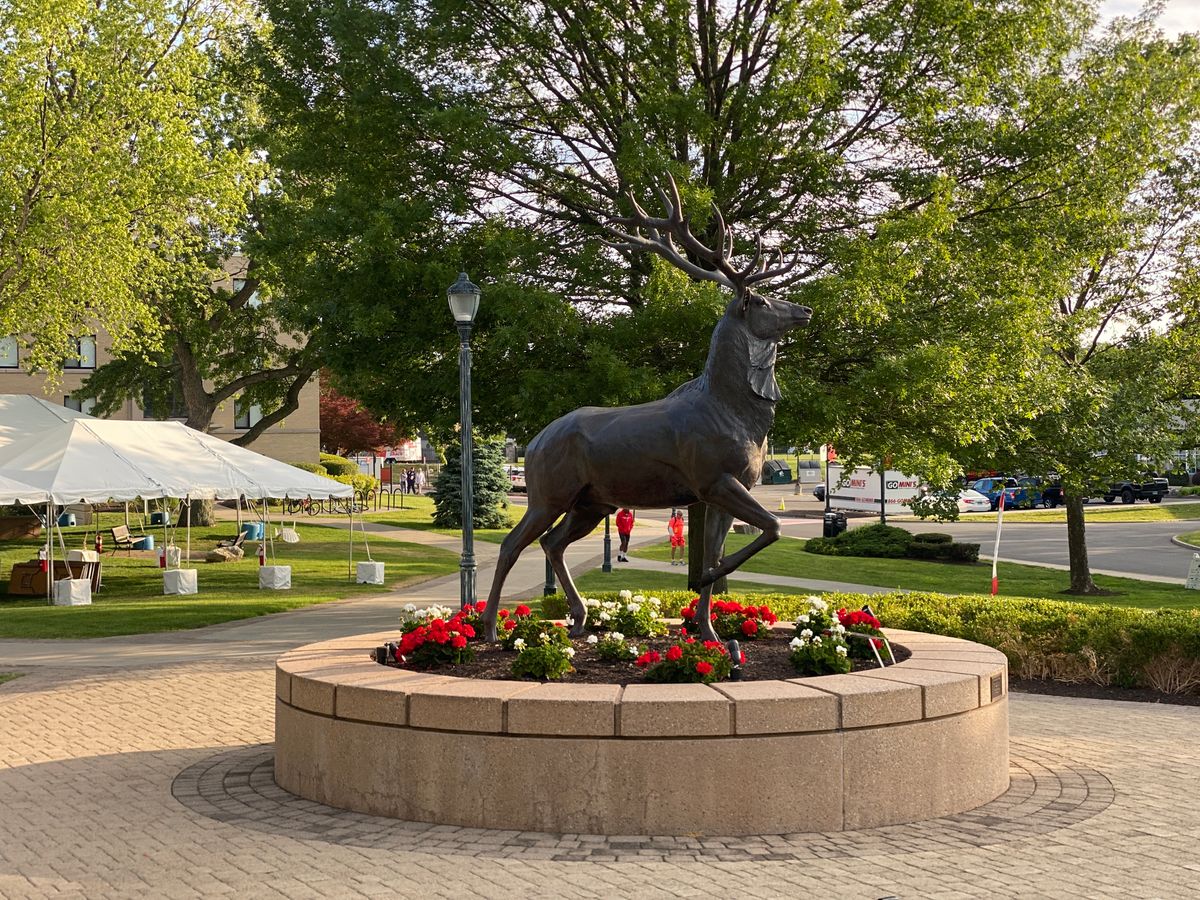 The Fairfield University Stag