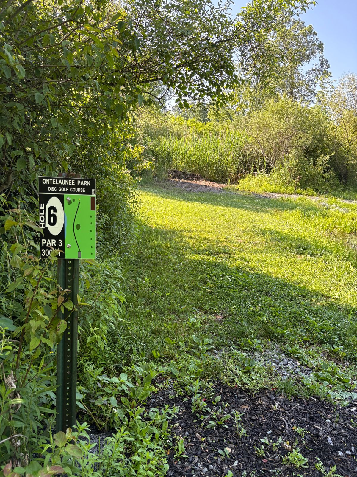 6th tee