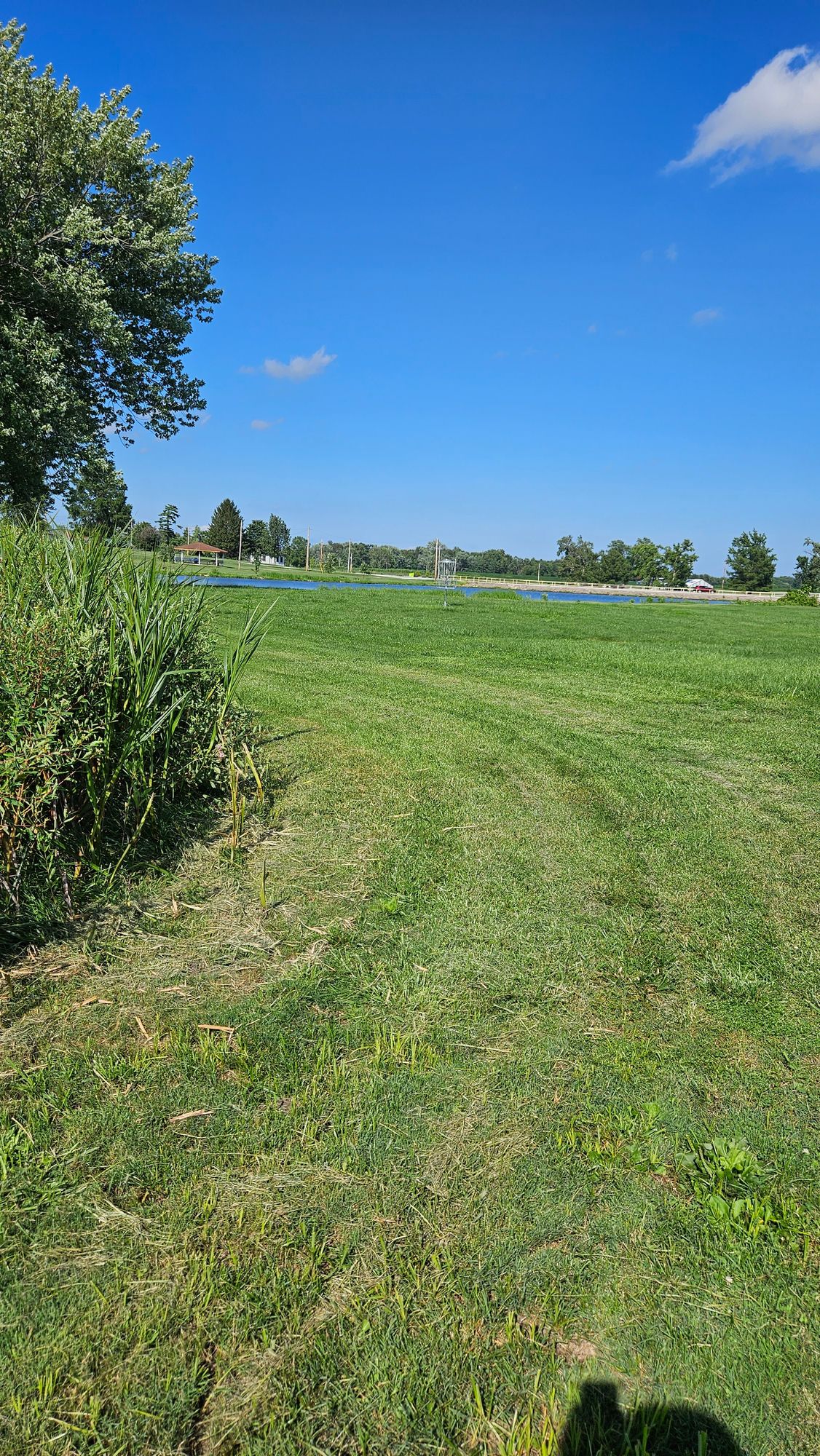 Hole 14 Basket