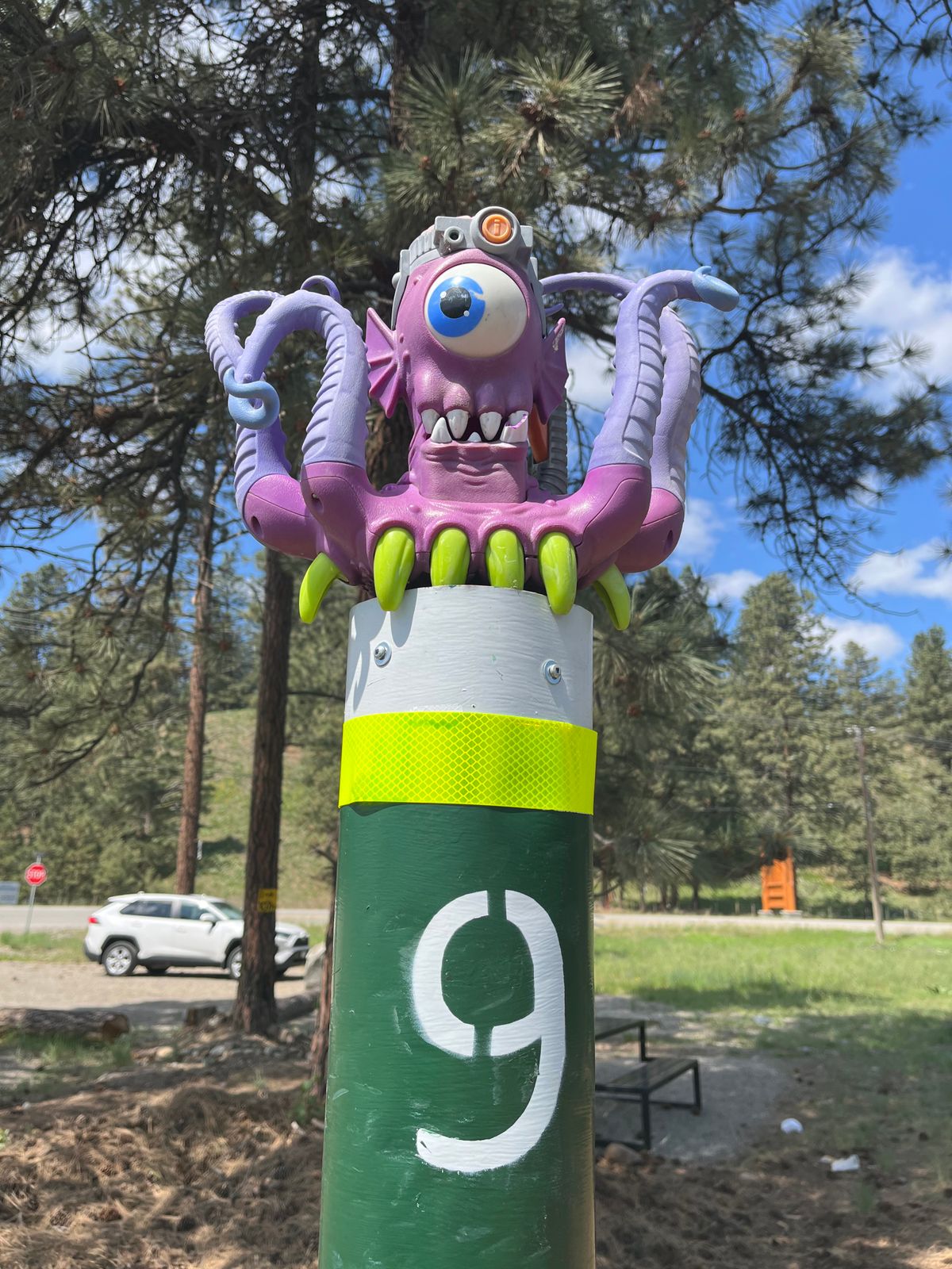 At the finish