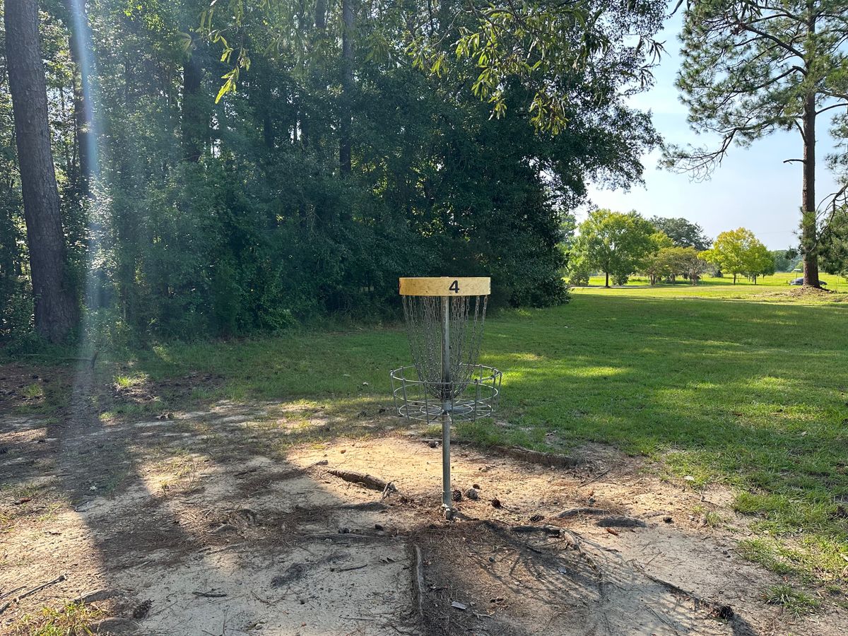 Hole 4 Basket