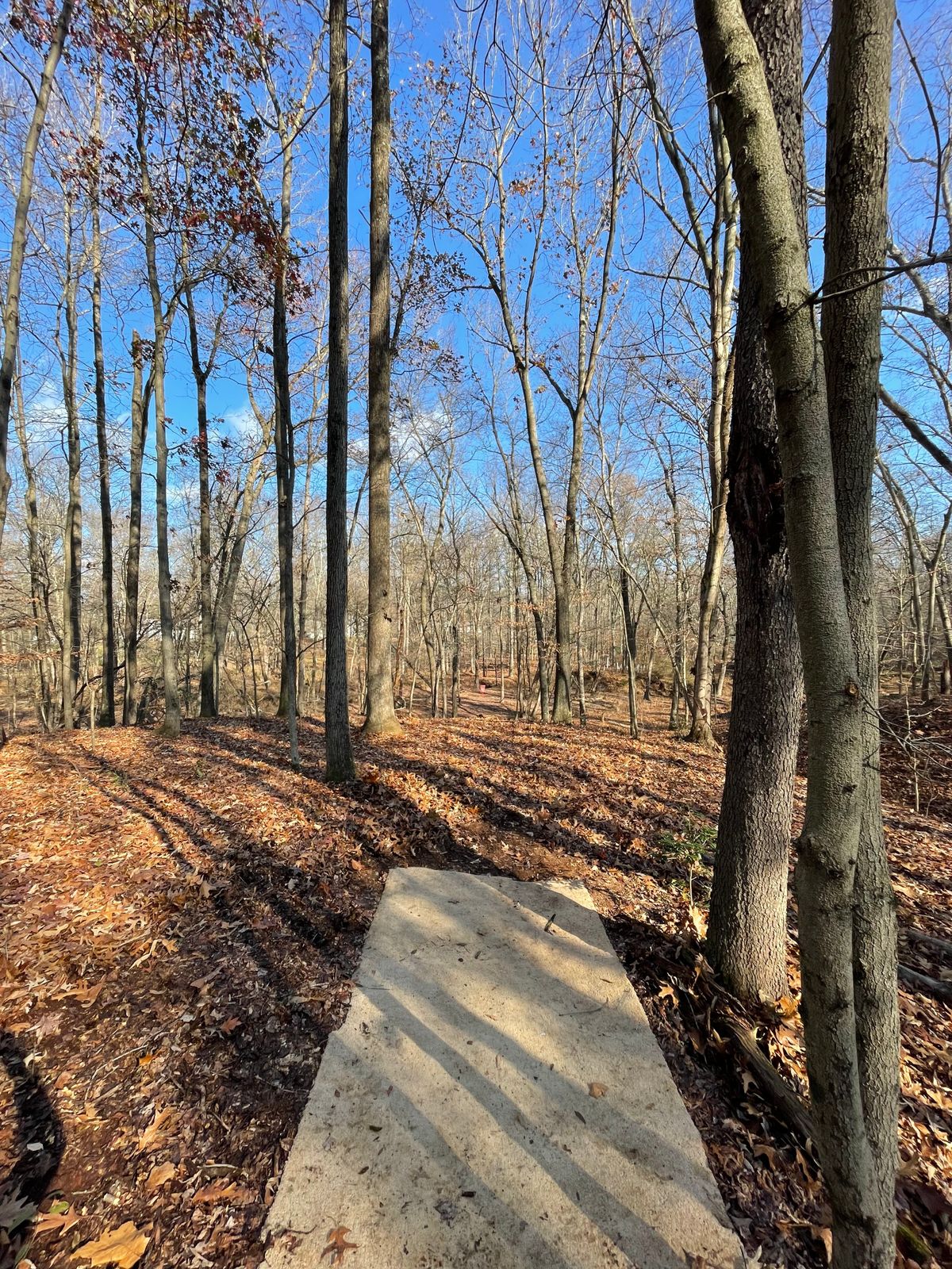 Hole 7 downhill gap