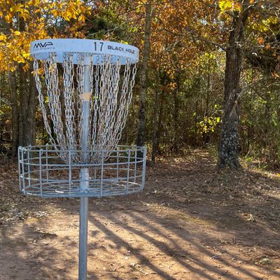Hole 17 basket, hole 18 Tee-box trail behind it