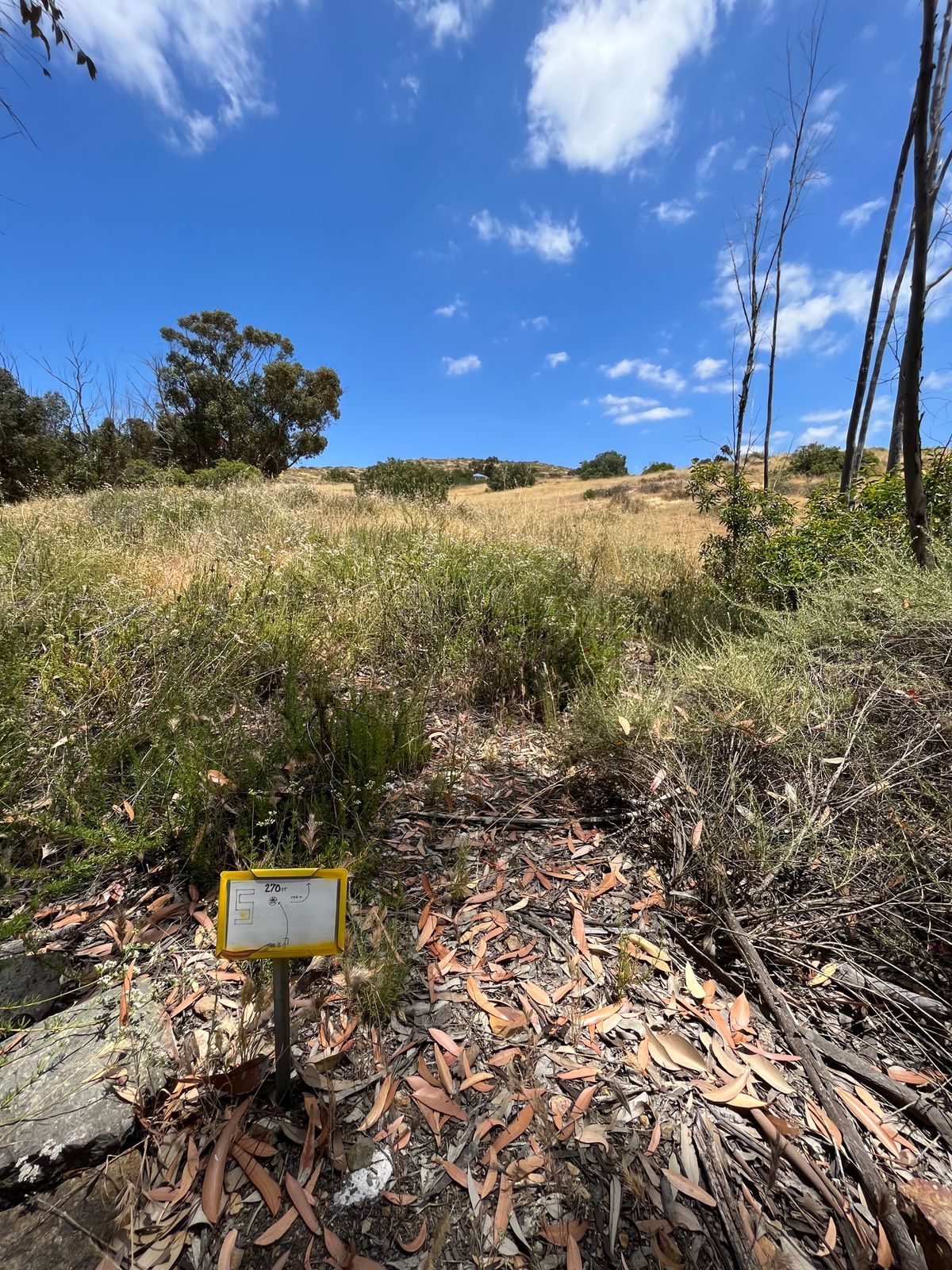 No walking path, fairway not yet maintained