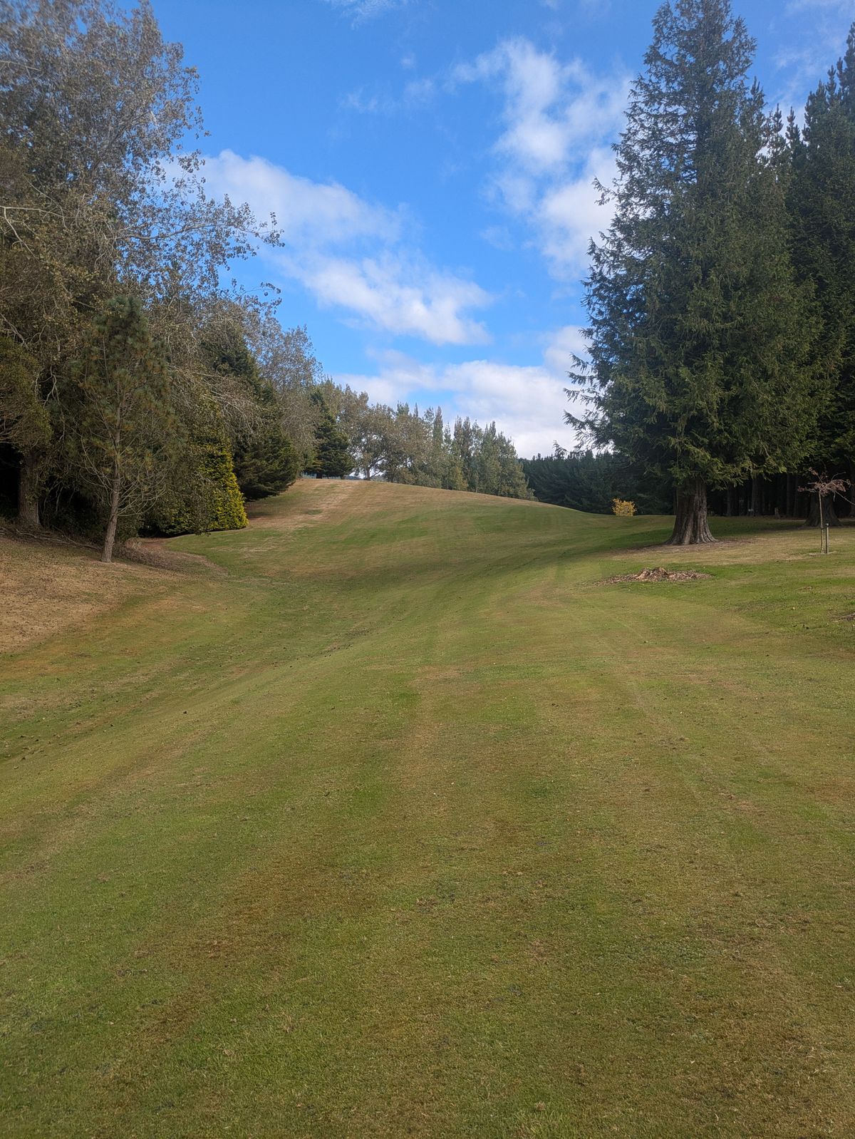 Hole #2: Par 4 up the hill.