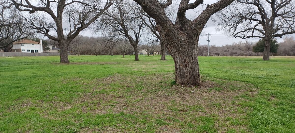Hole 5