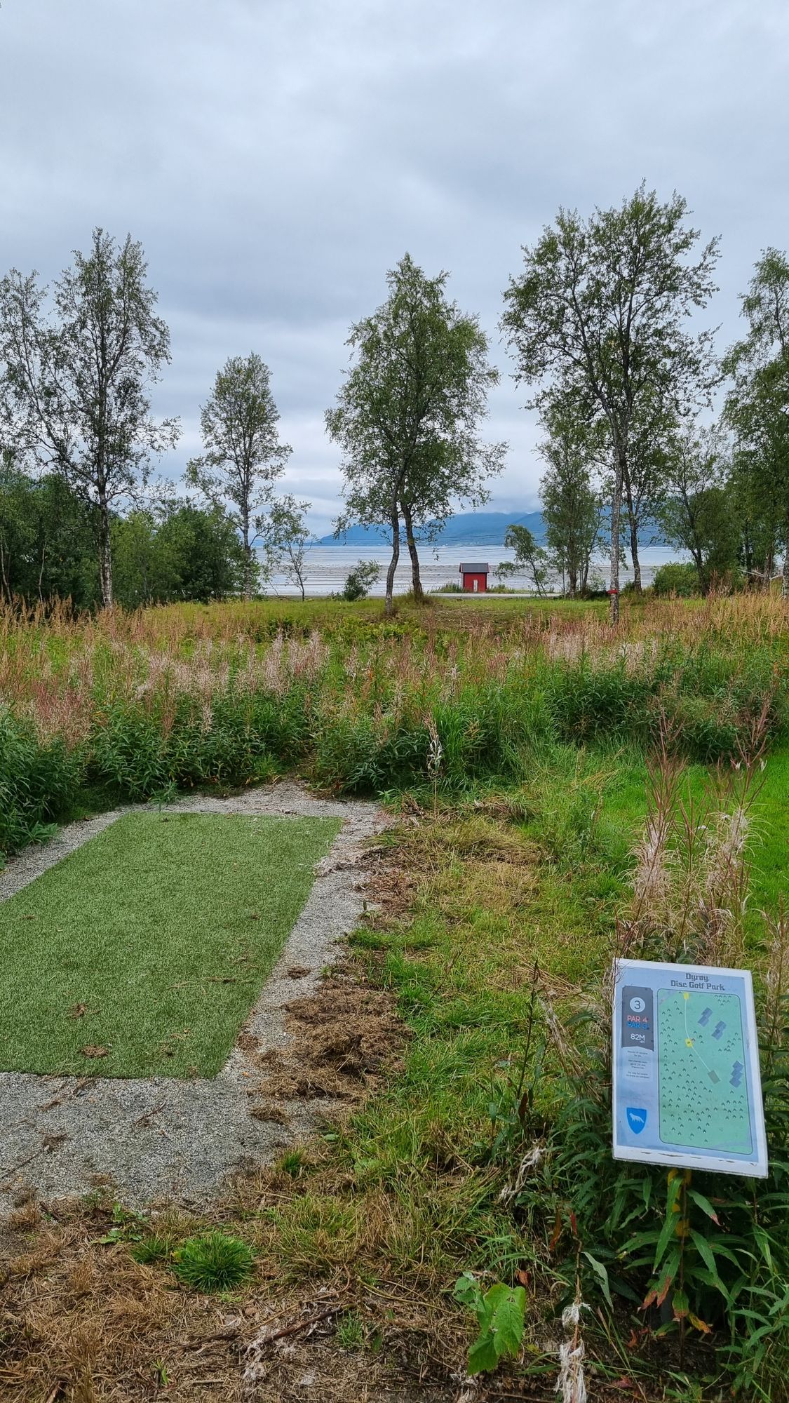 Tee 3