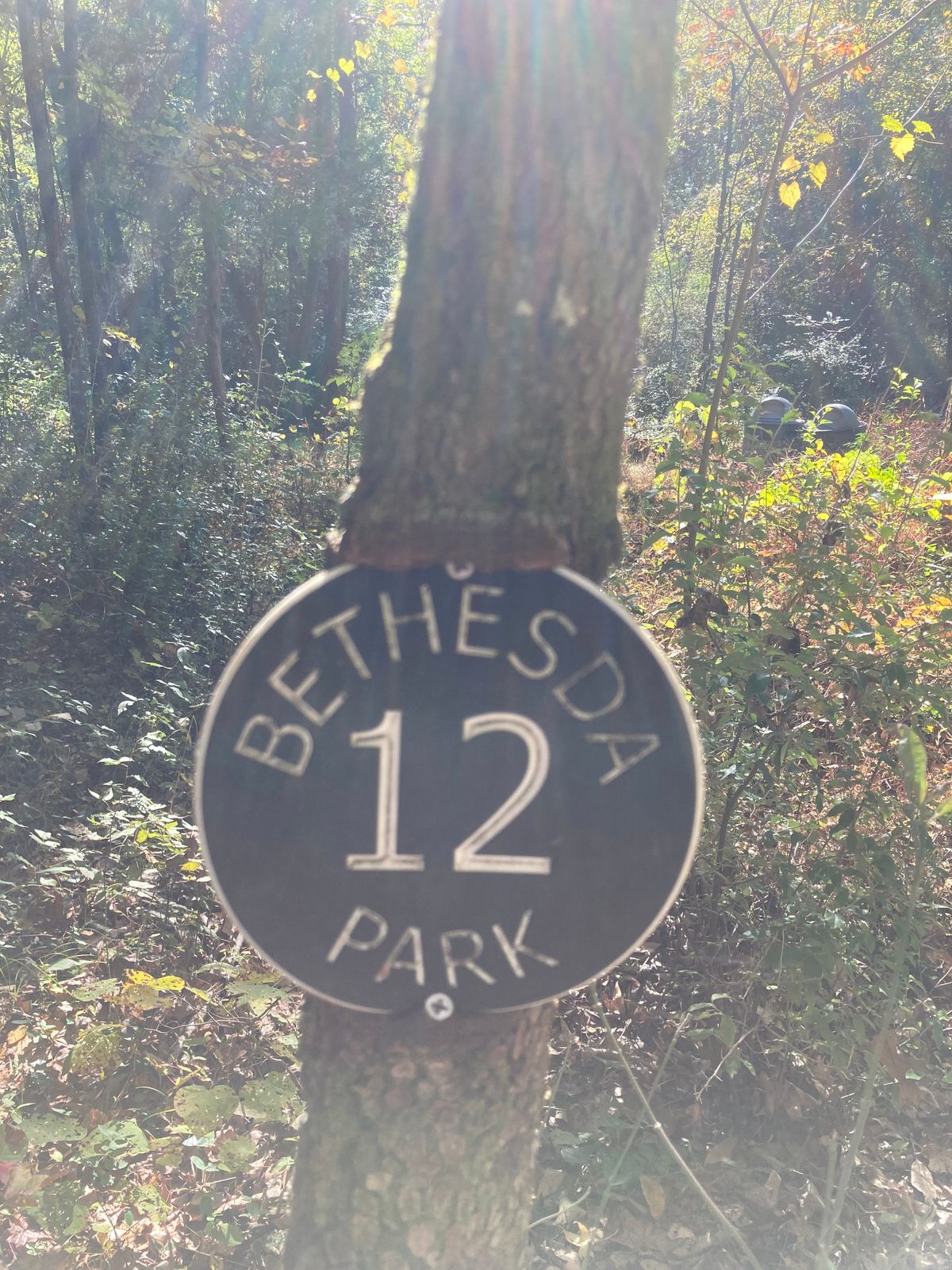 Hole 12