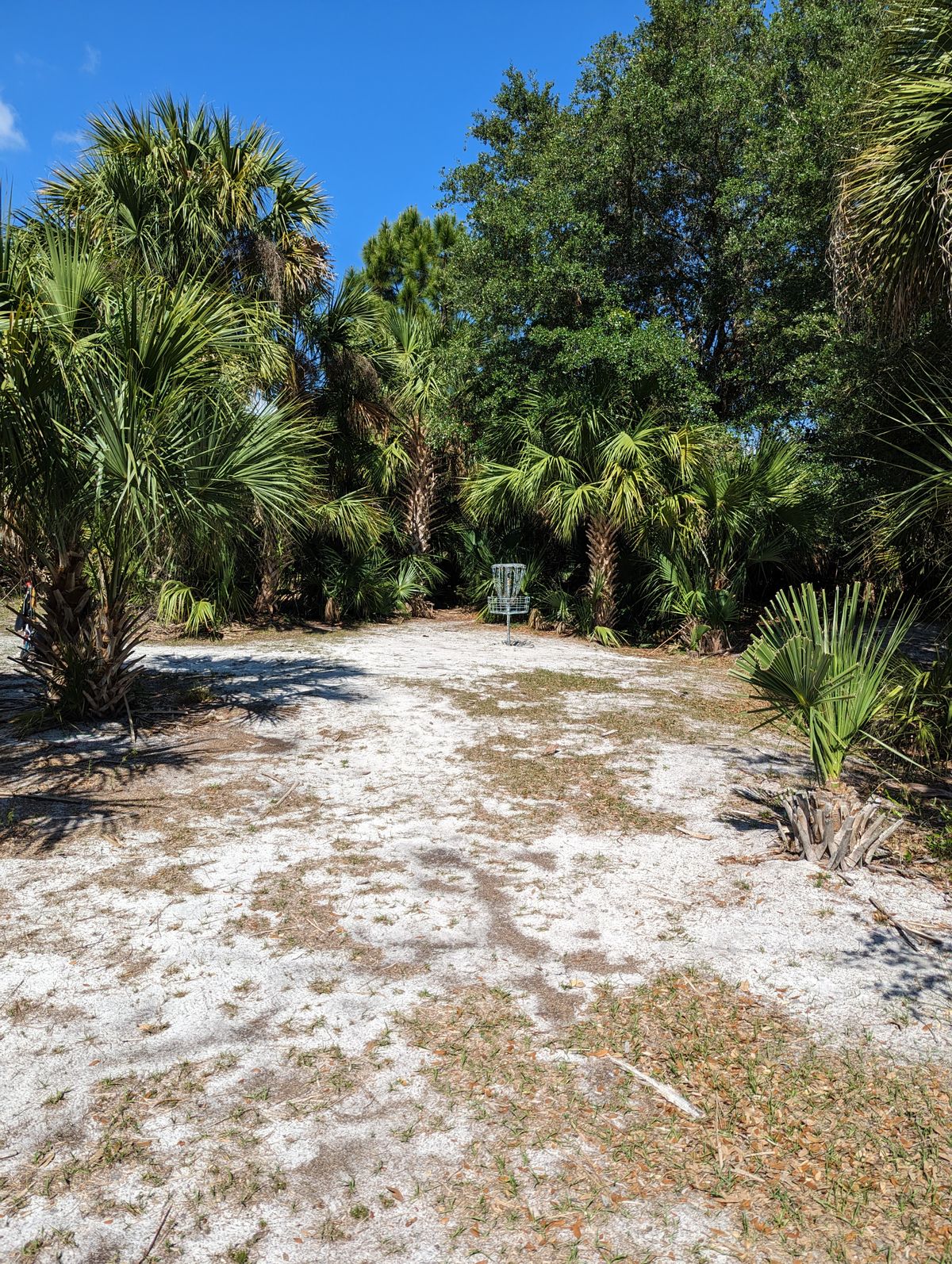 Hole 15 Short Basket View