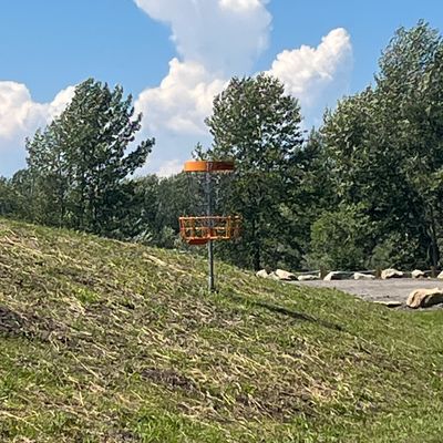 Basket 17 on side of hill.
