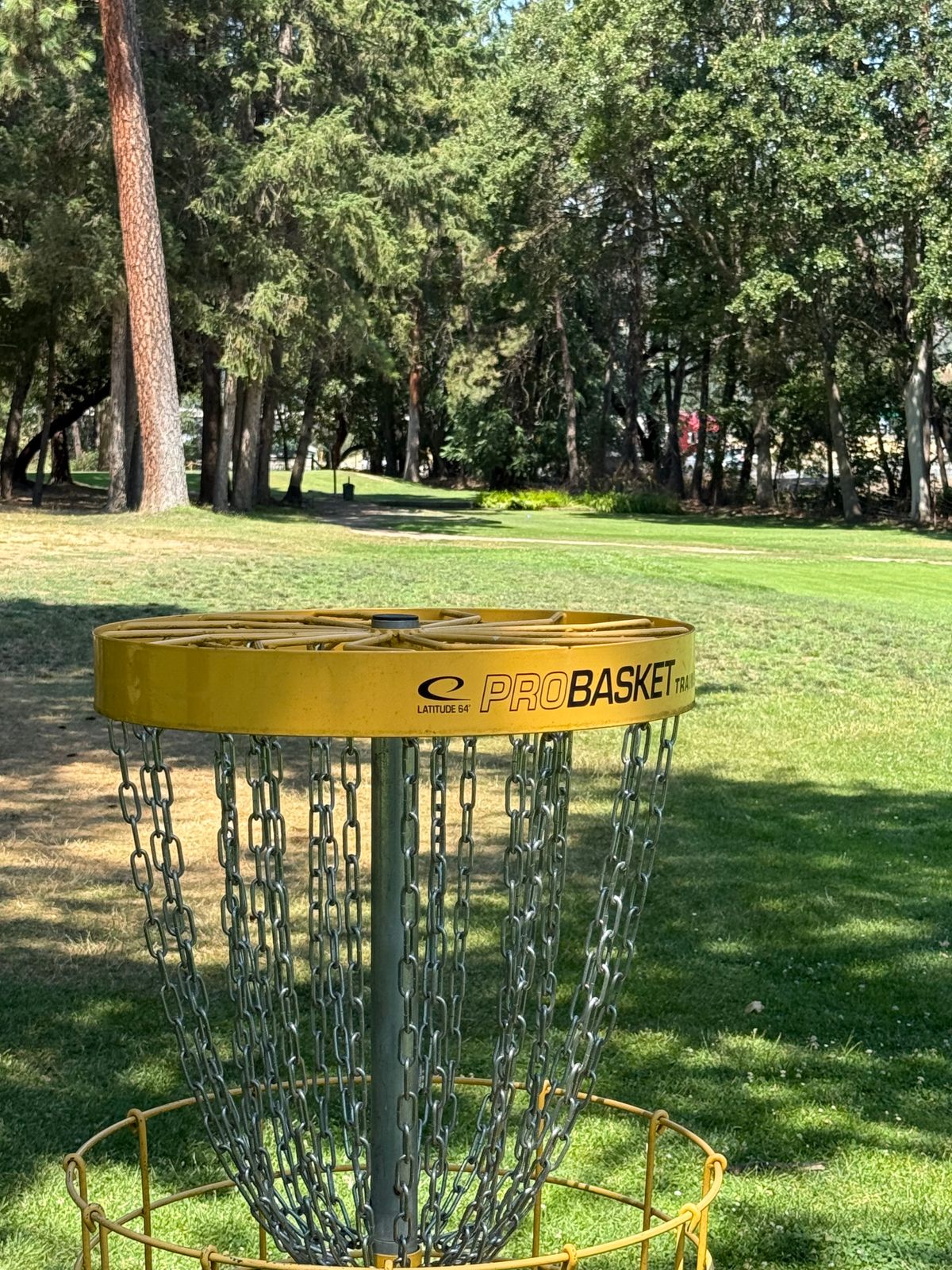 New 7 view to the tee .
