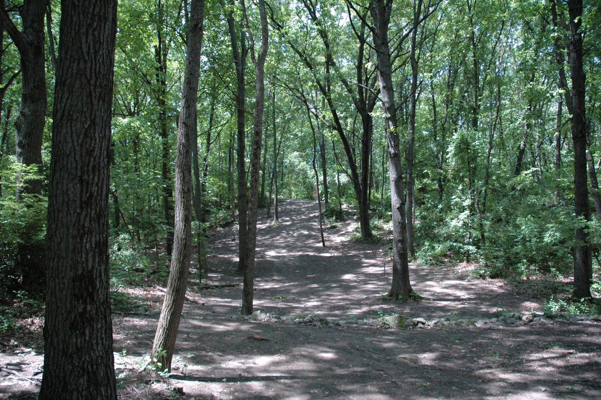 Hole 6 at the bottom of the valley, amateur tee pad directly behind