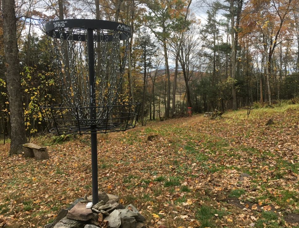 Hole 6 (aka the record breaker basket)