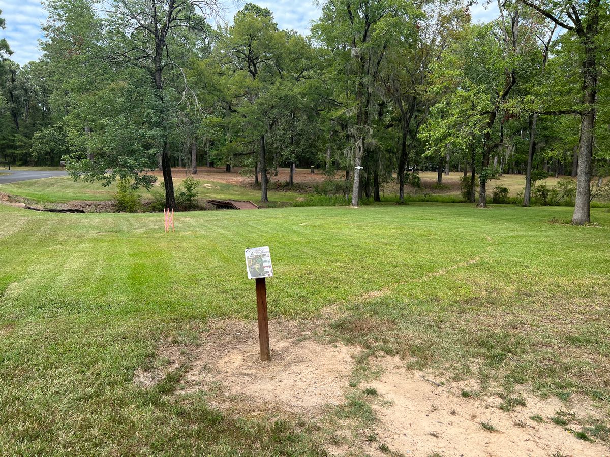 Hole 2 tee