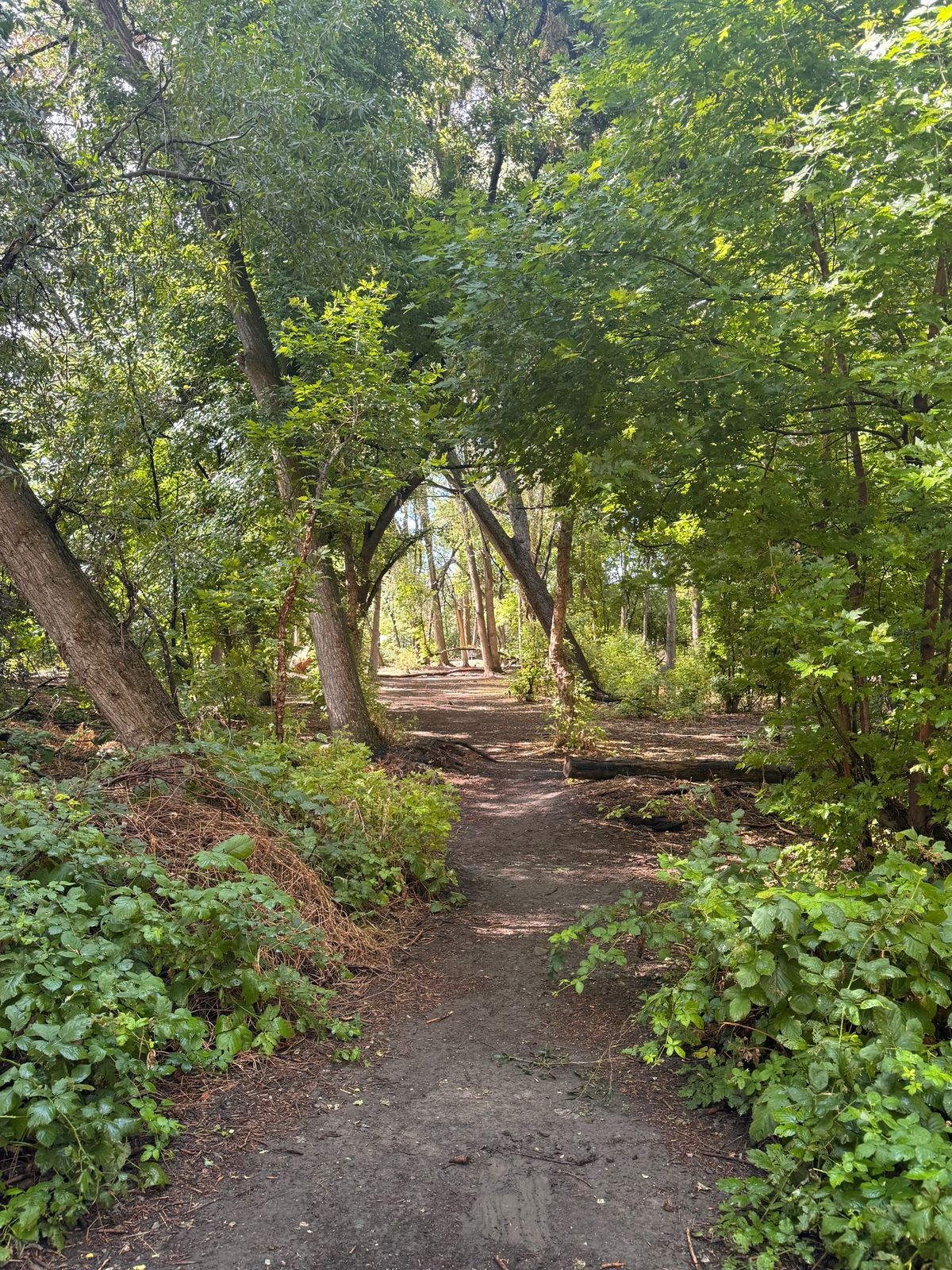Hole 17 tee pad! Beautiful tunnel shot!