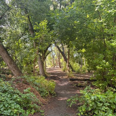 Hole 17 tee pad! Beautiful tunnel shot!