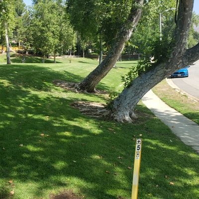 Tee for holes 5 and 10