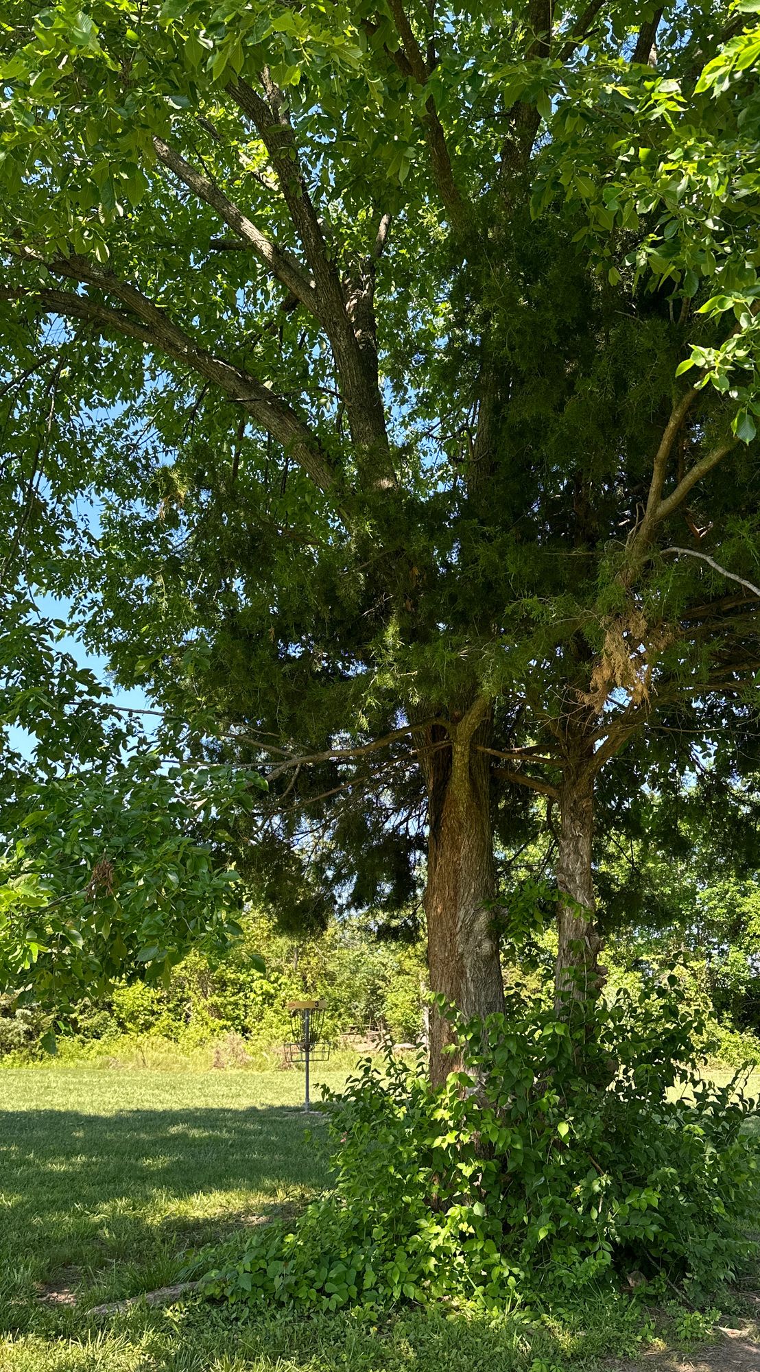 Hole 3