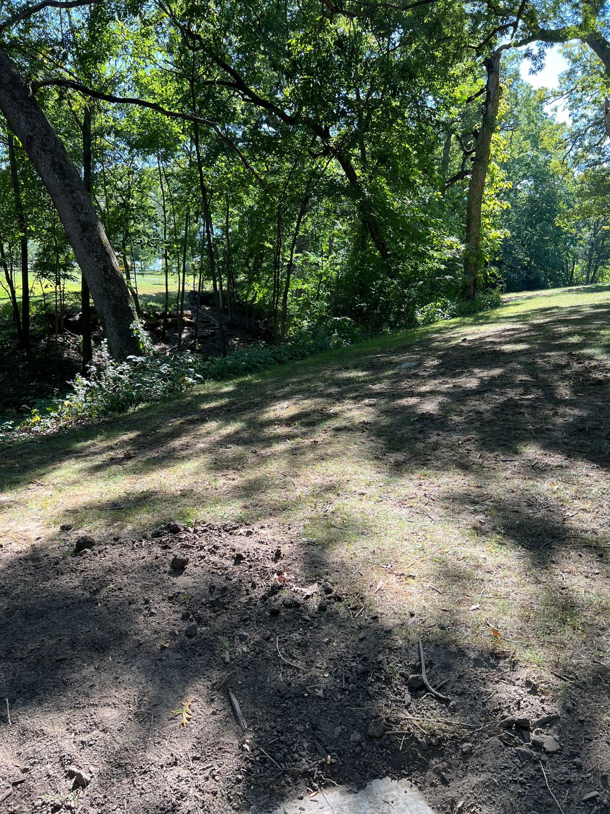 New wooded drive - line 2