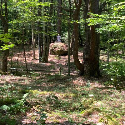 Hole 7 short course ( Prickle Pine) 192ft par 3