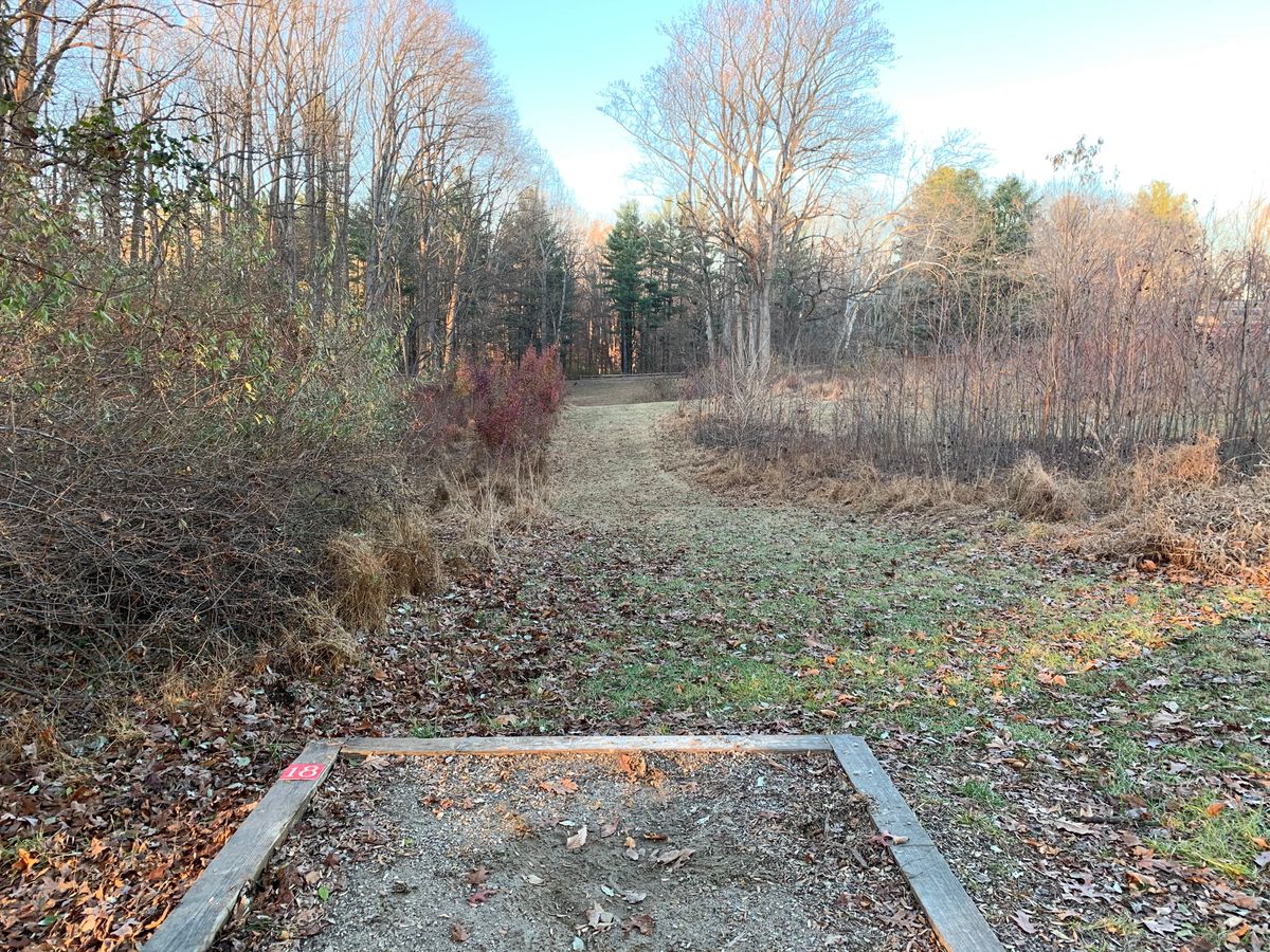 Hole 18 (short tee)
