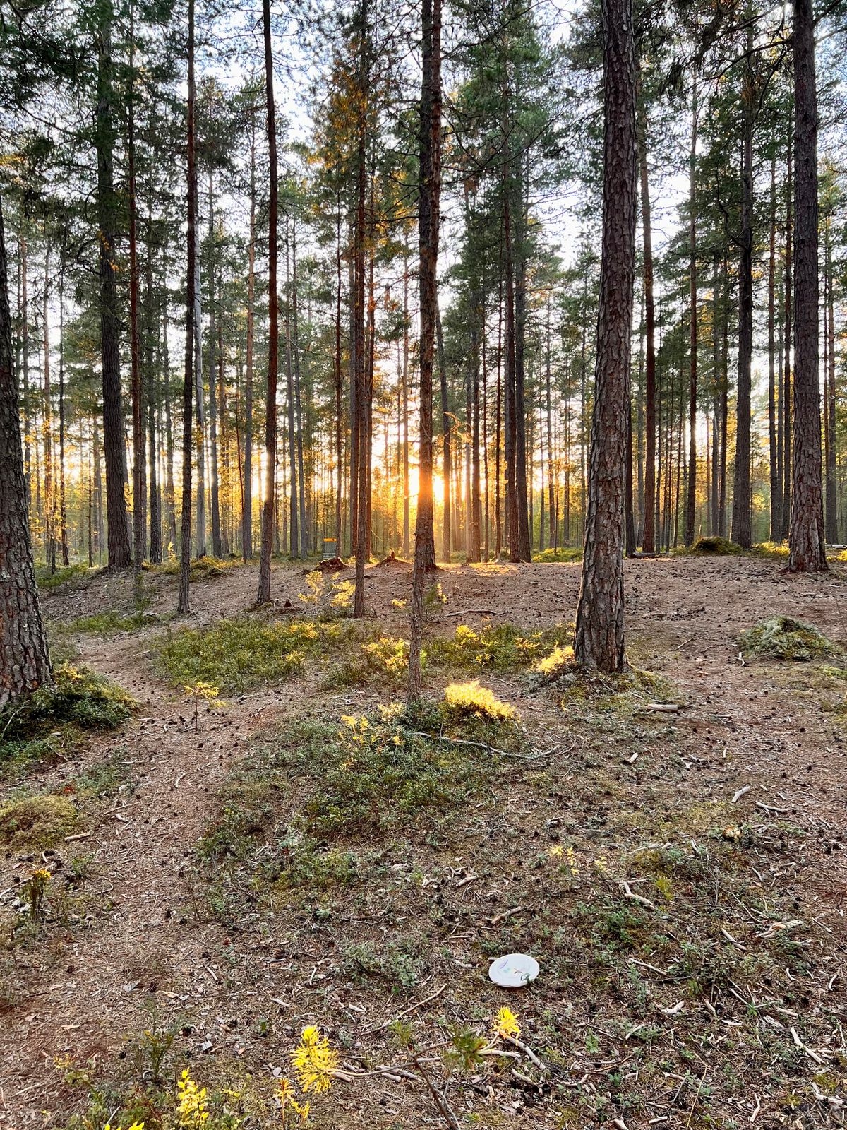 Sunset at hole 15
