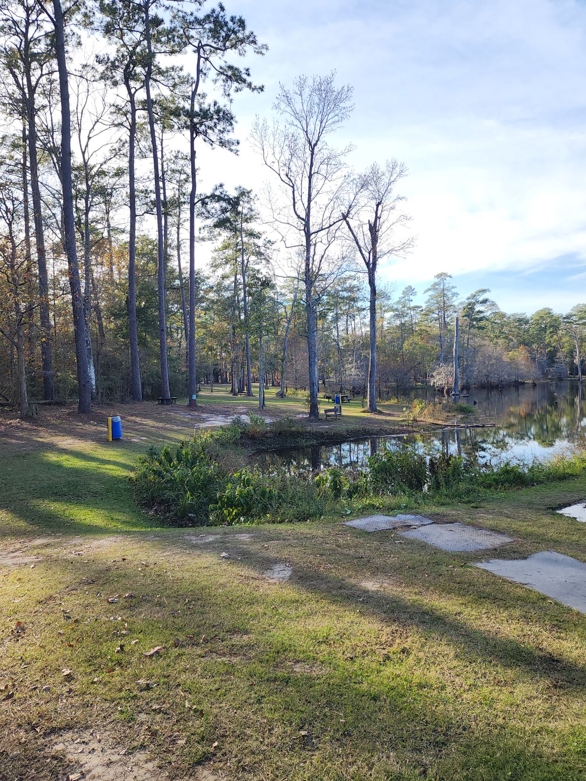 Hole 3  700ft par 4