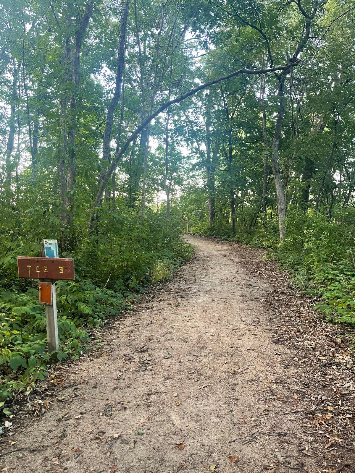 Hole 3: very short throw but a very narrow path