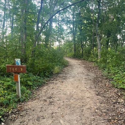 Hole 3: very short throw but a very narrow path