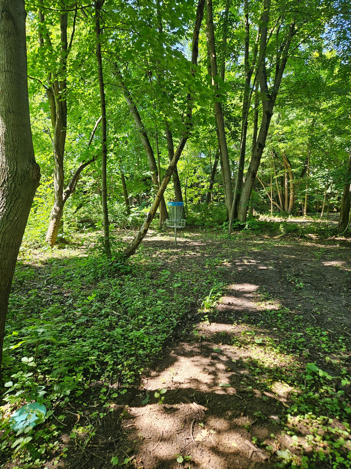 Hole 3 green