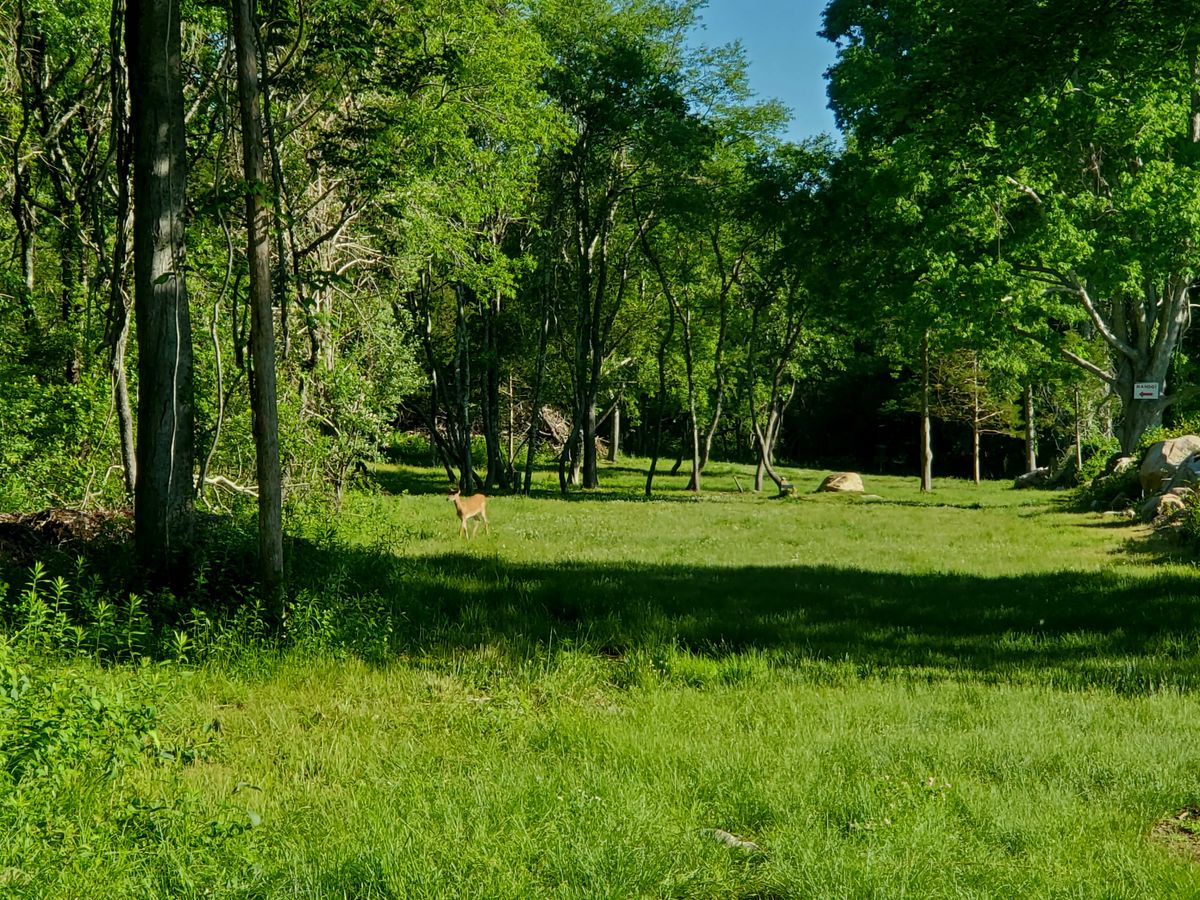 Hole 11