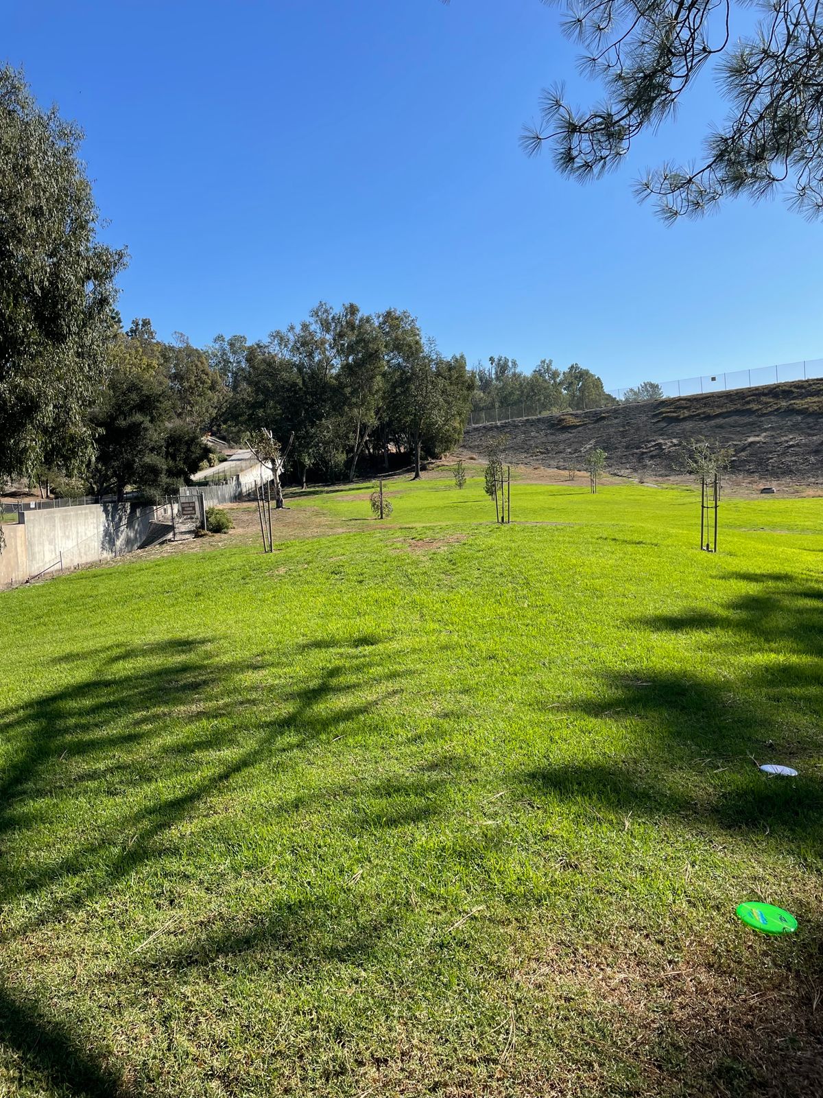 Hole 5 tee pad. 
Must pass to left of mando that is tree approx 290’ away in middle of fairway.