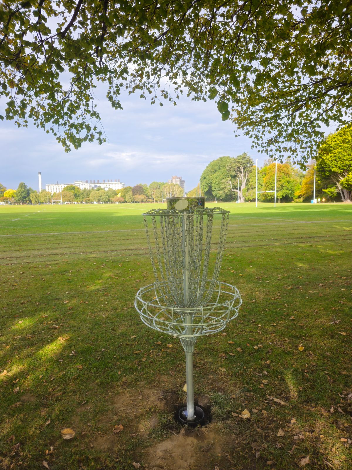 Hole 4 Basket