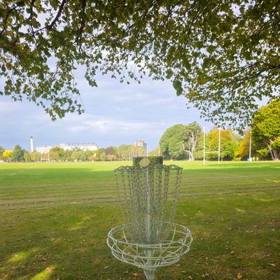 Hole 4 Basket