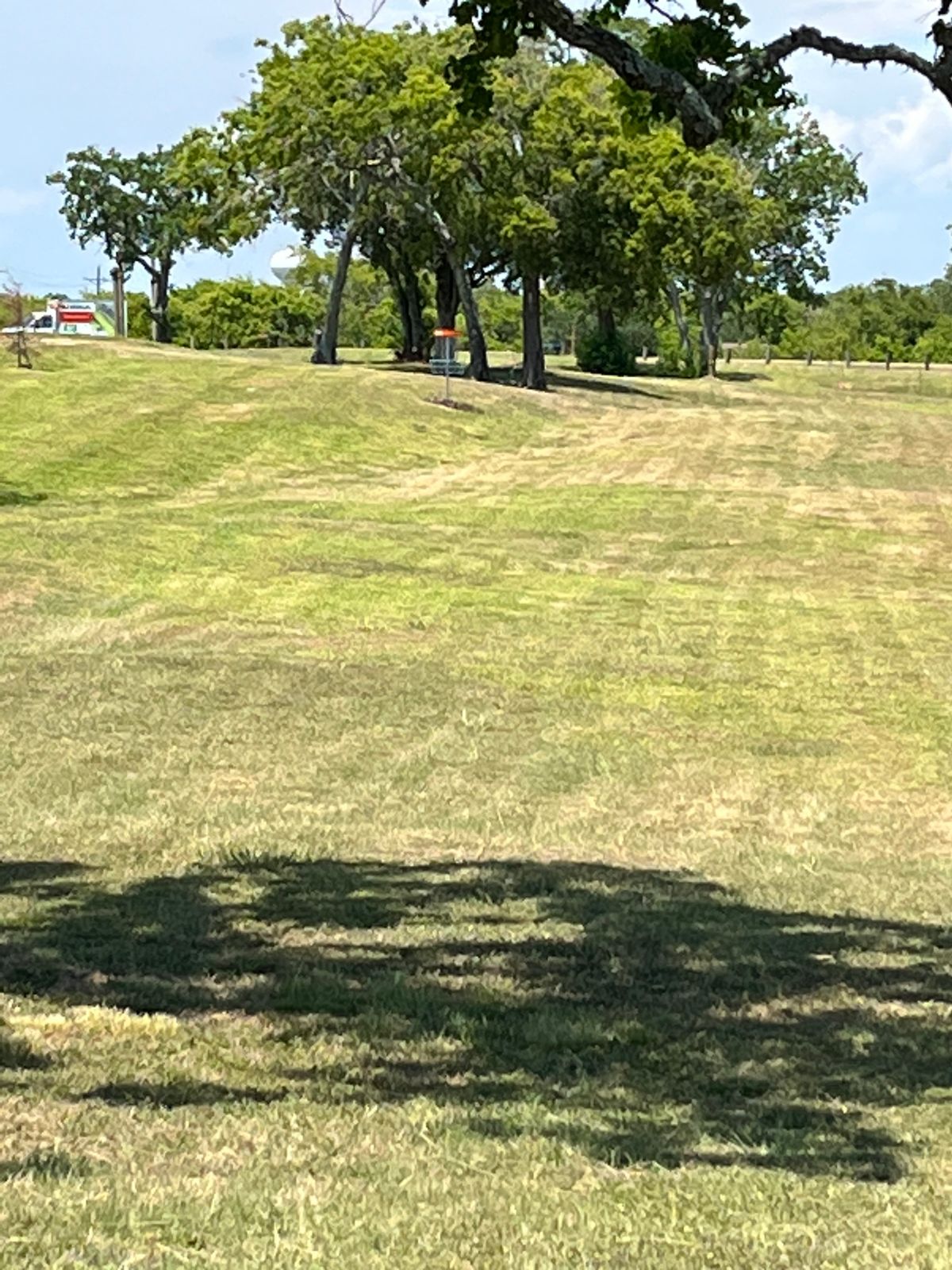 Somewhat of a low ceiling off the tee.